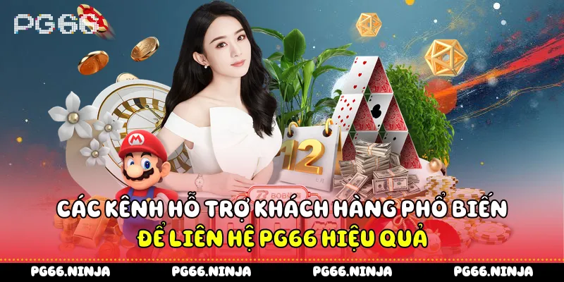 Các kênh hỗ trợ khách hàng phổ biến để liên hệ PG66 hiệu quả