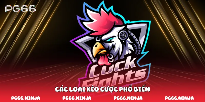 Các loại kèo cược phổ biến