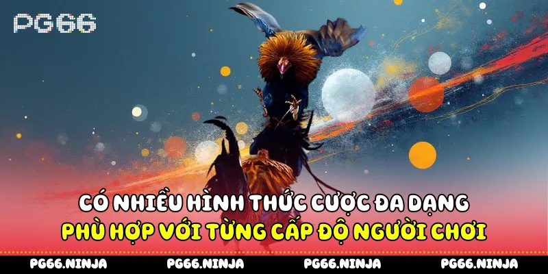 Có nhiều hình thức cược đa dạng phù hợp với từng cấp độ người chơi