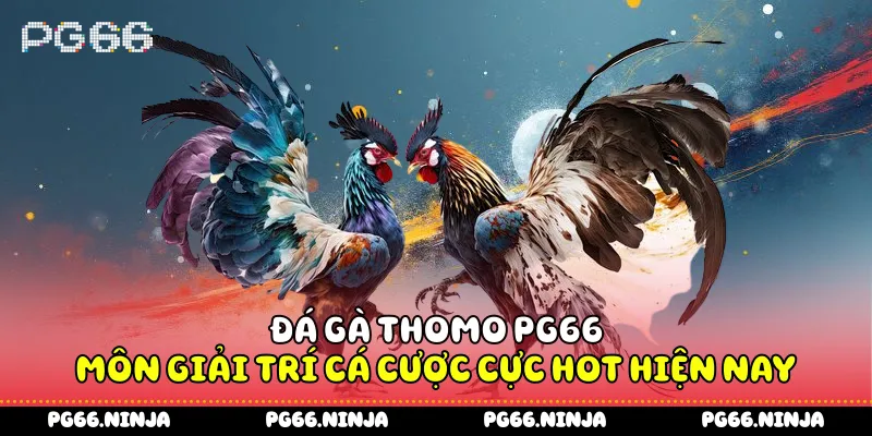 Đá Gà Thomo PG66 Môn Giải Trí Cá Cược Cực Hot Hiện Nay