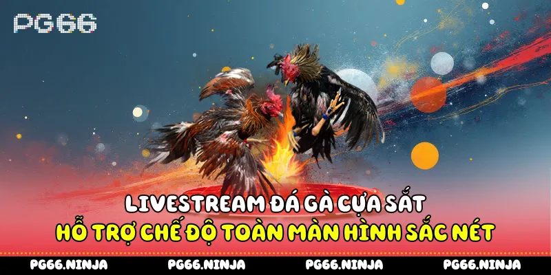 Livestream đá gà cựa sắt hỗ trợ chế độ toàn màn hình sắc nét