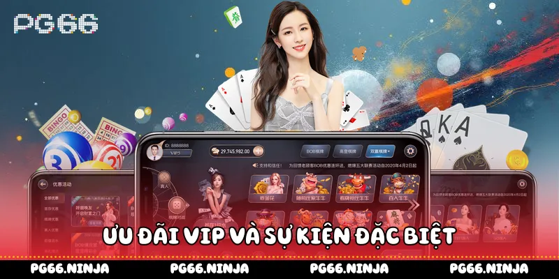 Ưu đãi VIP và sự kiện đặc biệt